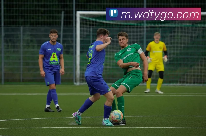 App Interface Preview