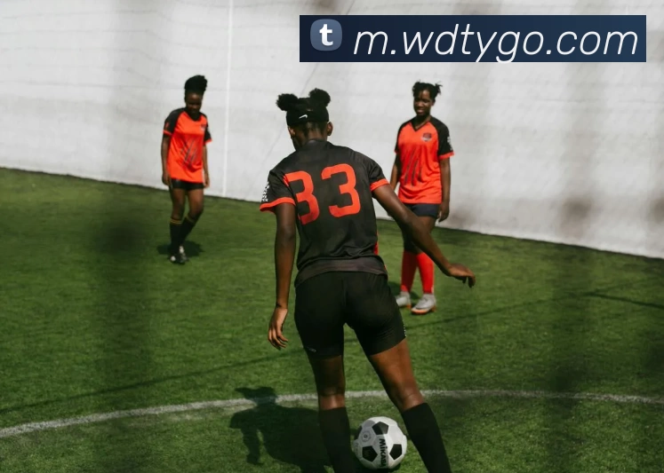 韦德体育APP 封面图